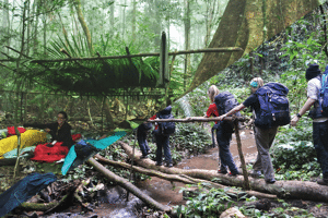 Luang Namtha Safety Travel Guide: Tips, Precautions & Eco-Tours